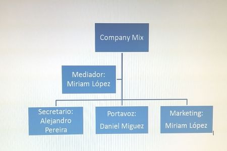 Company mix